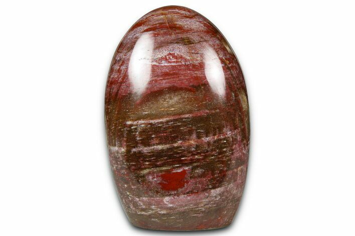 Free-Standing, Polished Petrified Wood - Madagascar #376099